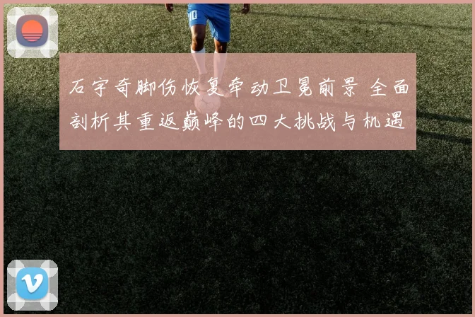 石宇奇脚伤恢复牵动卫冕前景 全面剖析其重返巅峰的四大挑战与机遇